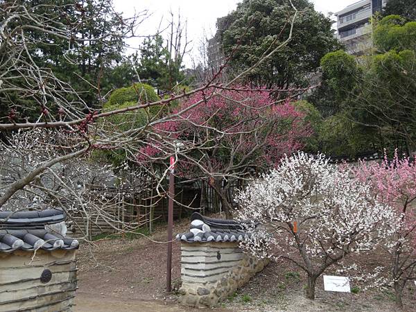 未命名 - 23.jpg 未命名 - 23.jpg