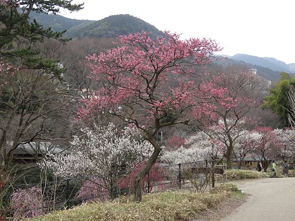 未命名 - 24.jpg 未命名 - 24.jpg