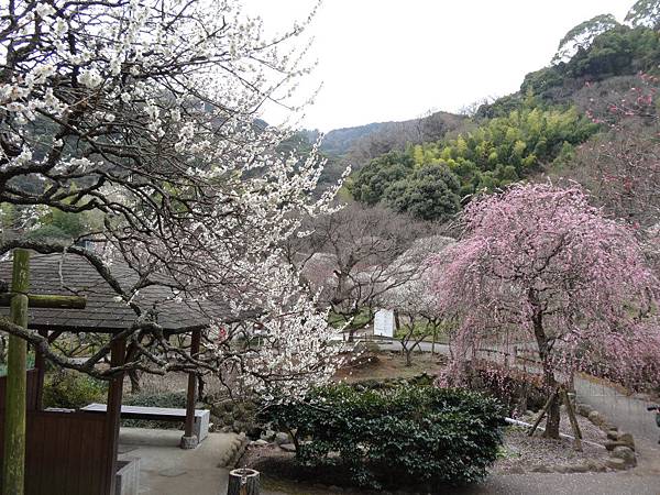 未命名 - 25.jpg 未命名 - 25.jpg