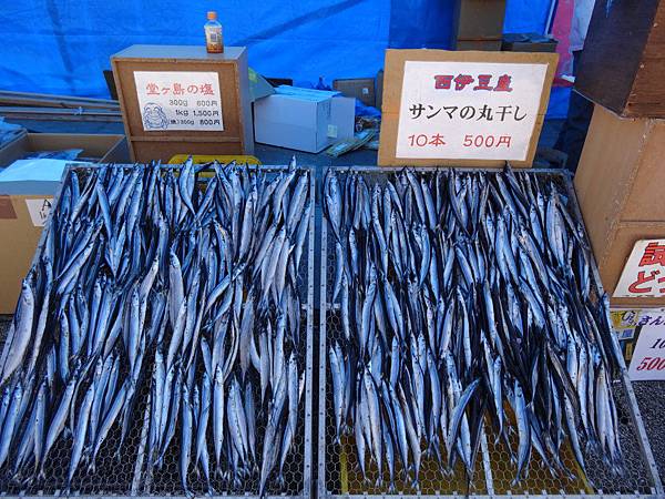 河津10.jpg 河津10.jpg
