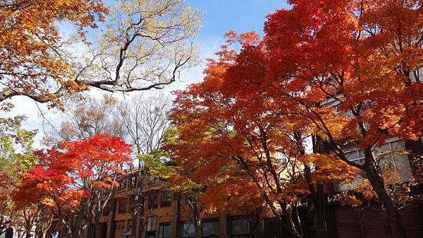 DSC03146.JPG DSC03146.JPG