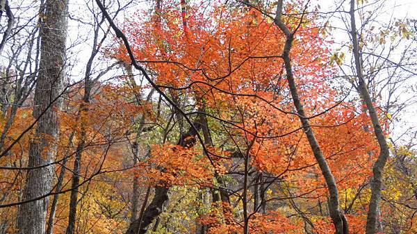 DSC03587.JPG DSC03587.JPG