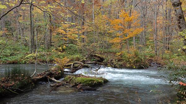 DSC03884.JPG DSC03884.JPG