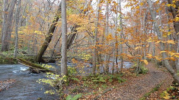 DSC03906.JPG DSC03906.JPG