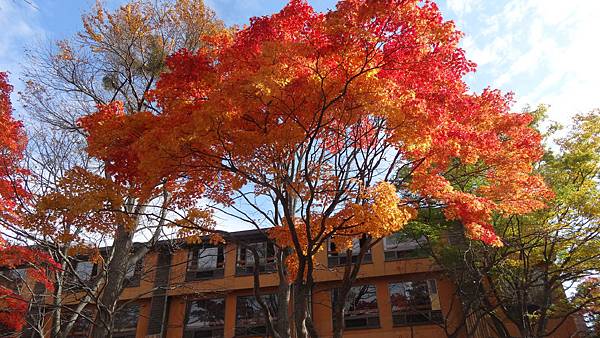 DSC03156.JPG DSC03156.JPG