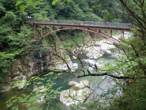 SANY8546.jpg SANY8546.jpg