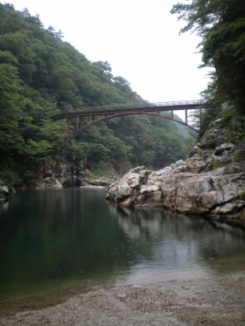 SANY8567.jpg SANY8567.jpg