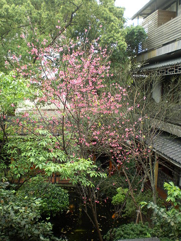 花院 花院