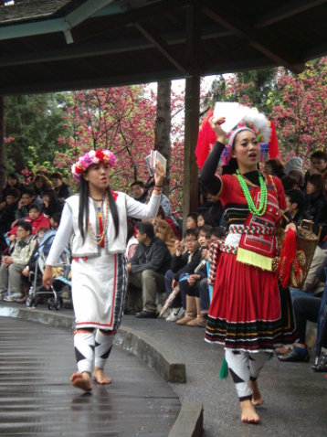表演 表演