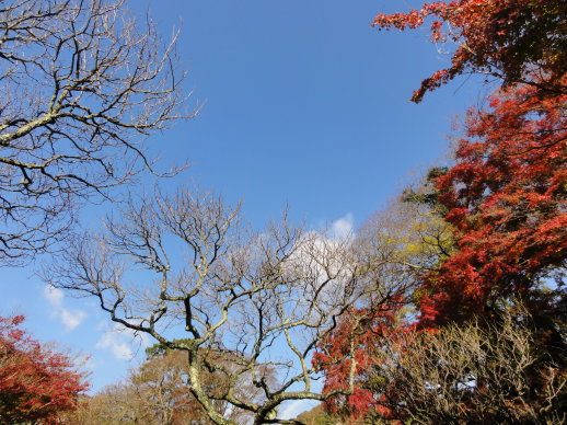 天空 天空