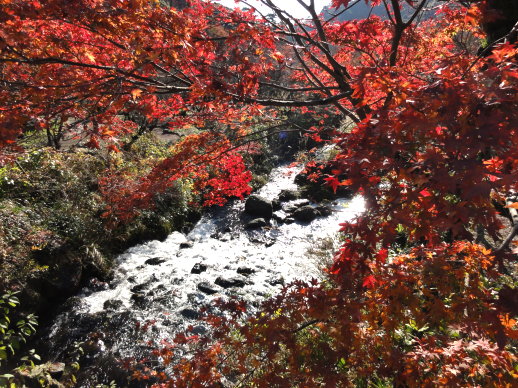 河 河