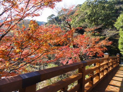 橋 橋
