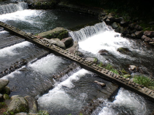 河階.jpg 河階.jpg