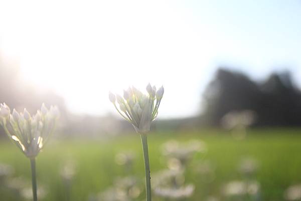 IMG_2701 IMG_2701