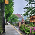 20230425_街景-2.jpg