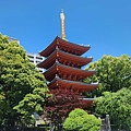 20230426_寺廟.jpg