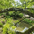 20230427_太宰府湖景.jpg