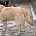 20110311348.jpg