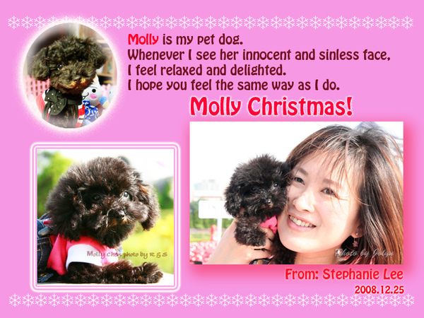 Molly Christmas-2.jpg