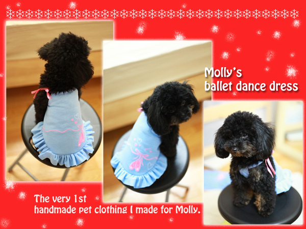 Molly Christmas 2009-9.jpg