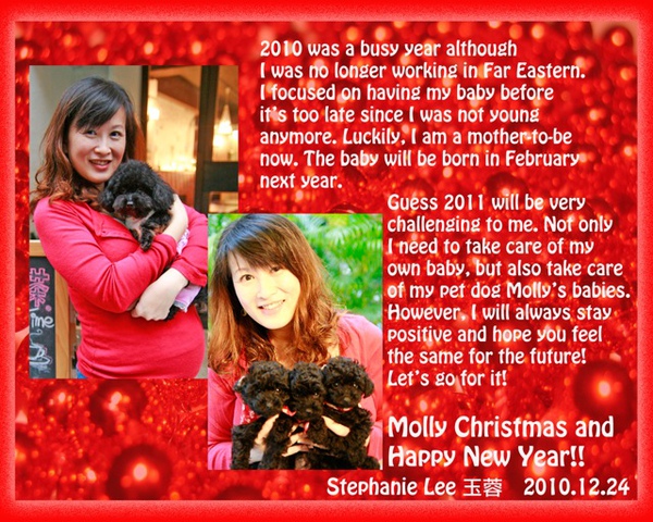 2010 02 Molly Christmas.jpg