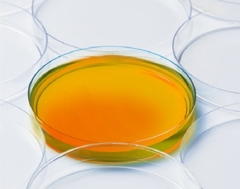 Soy Peptone 大豆蛋白腖 上鼎生技有限公司 痞客邦 Soy Peptone 大豆蛋白腖 上鼎生技有限公司 痞客邦