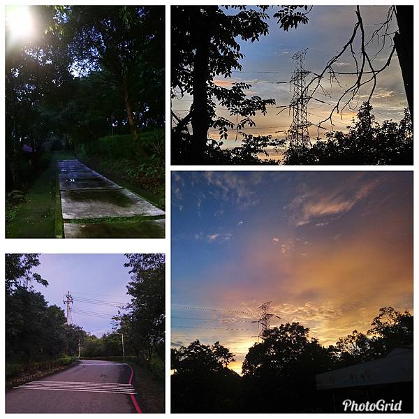 PhotoGrid_1533471000263