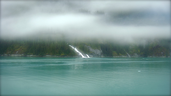 tracy arm