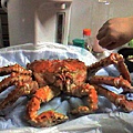 超級大size帝王蟹