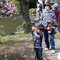 可愛的小男孩也試著把櫻花照下