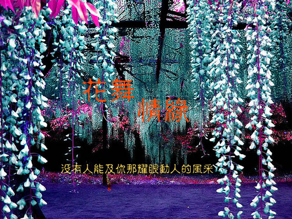 特殊調色風景明信片.jpg 特殊調色風景明信片.jpg