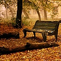 Old_Bench_1600.jpg