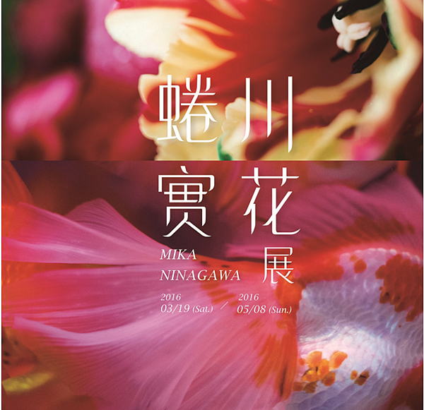 蜷川實花 蜷川實花