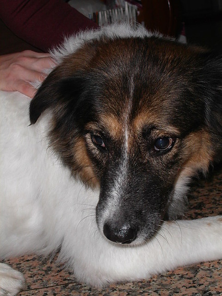 PICT0011.JPG
