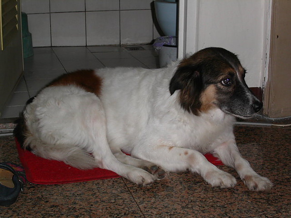 PICT0022.JPG
