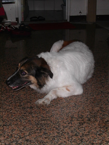 PICT0002.JPG