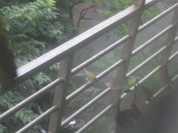 PICT0014.JPG