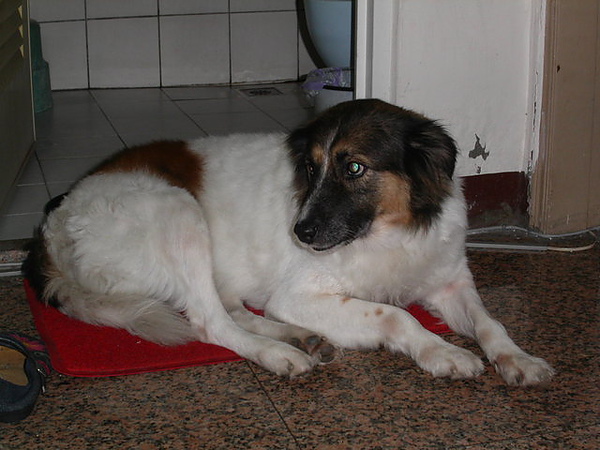 PICT0020.JPG
