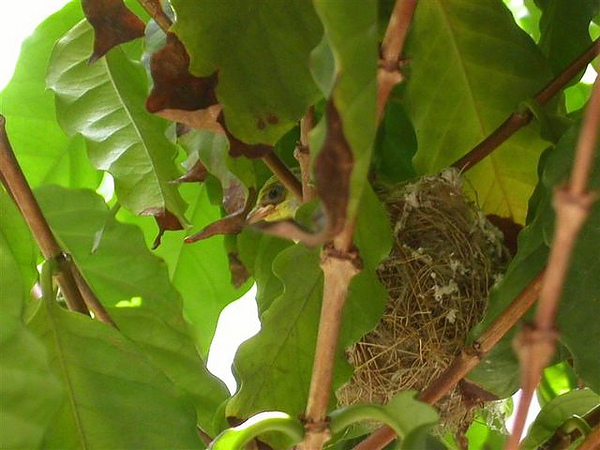 PICT0006.JPG