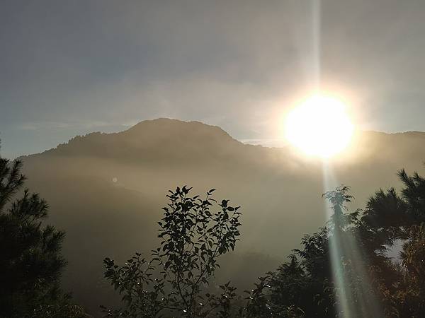 [遊] 苗栗-觀霧山莊-雲海.森林.神木