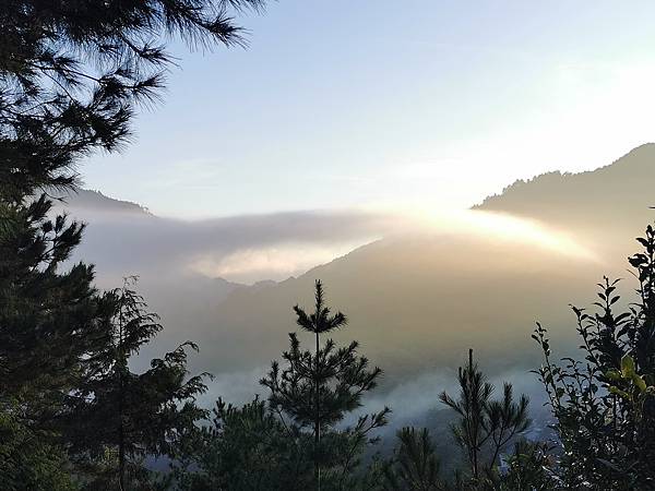 [遊] 苗栗-觀霧山莊-雲海.森林.神木