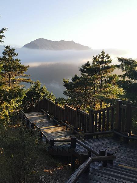 [遊] 苗栗-觀霧山莊-雲海.森林.神木