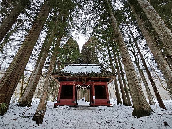 [遊] 日本-長野戶隱神社-冬季漫步在奧社杉木參道