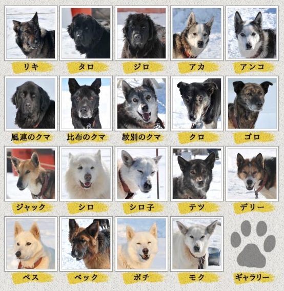 TBS-Dogs