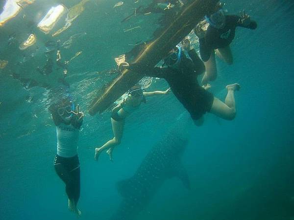 宿霧ev語言學校推薦