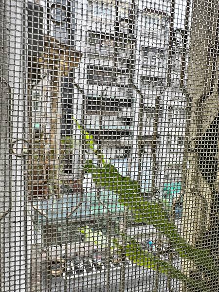 舍榀 SUPREMIER超靜電防霾紗網