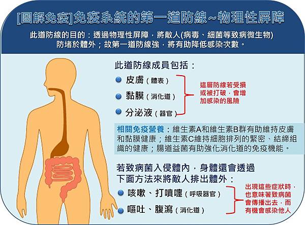 圖解免疫]免疫系統的第一道防線~物理性屏障.jpg