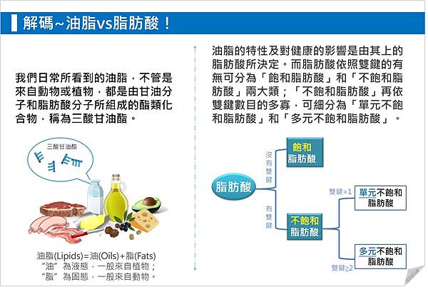 解碼~油脂vs脂肪酸.jpg