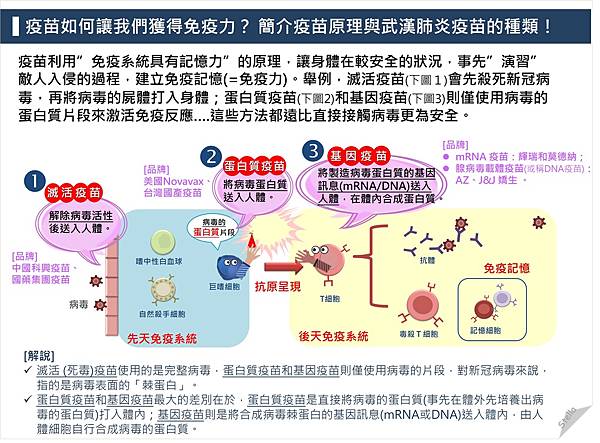 疫苗原理.jpg