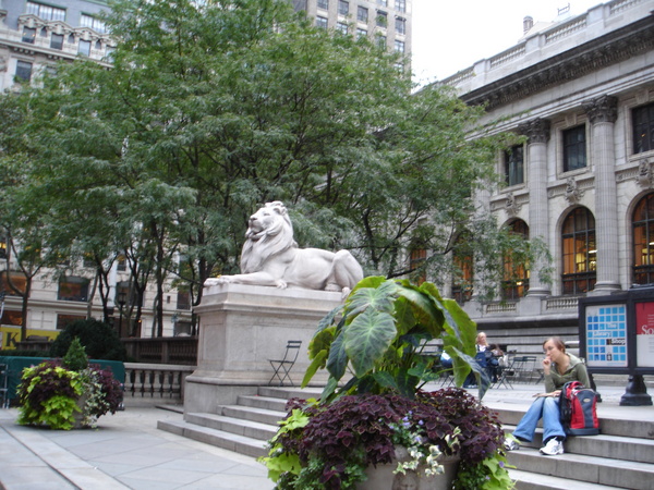 NYPL lion